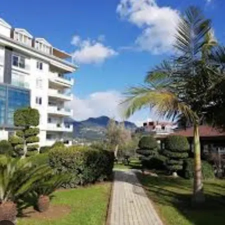 Olive Alanya